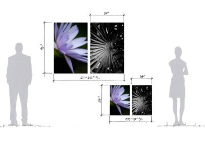 DIPTYCH | 42X62" (30X42" each) & 42x50" (18X24" each)